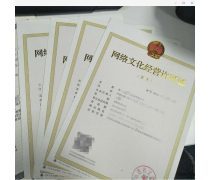 軟件與網(wǎng)絡(luò)文化經(jīng)營 數(shù)字化浪潮中的融合與挑戰(zhàn)